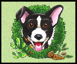 winter border collie